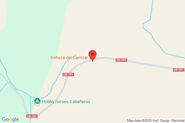 Dehesa De Los Recitales S.L.