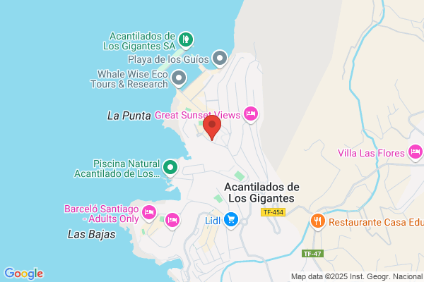 Paul Ruane Los Gigantes Properties S.L.