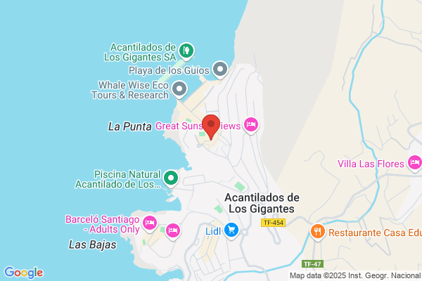Diaz De La Guardia j. T.
