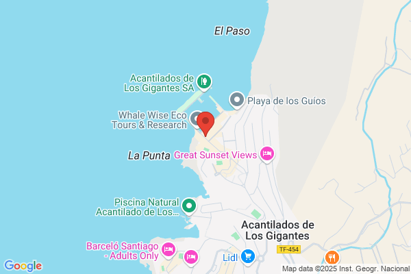 Palmar Group S.A.