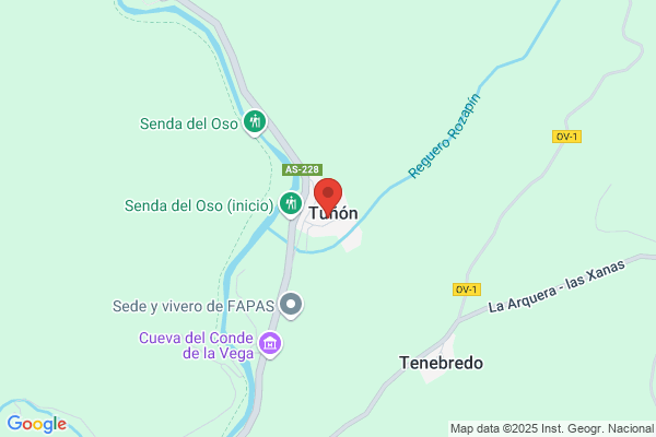 Asociación Pedagógica y Terapéutica de Asturias