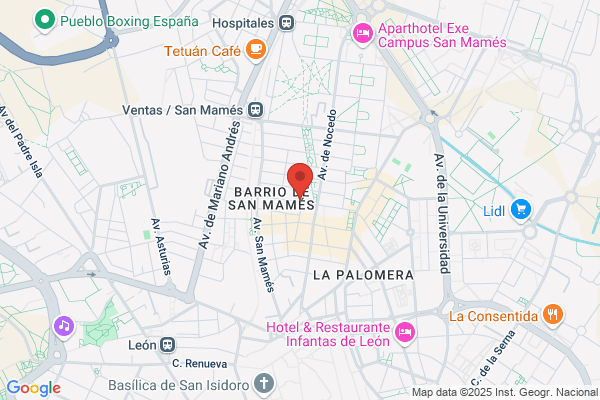 Academia De Pintura Gelb-Atelier