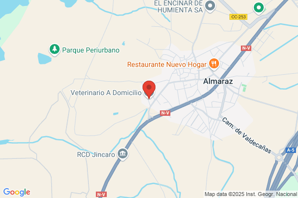 Veterinario A Domicilio