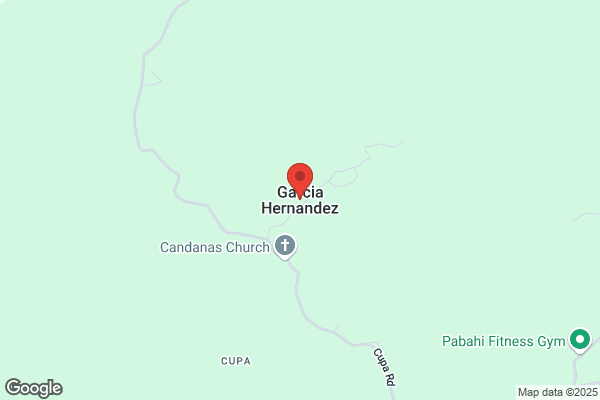 Hernandez Garcia p.