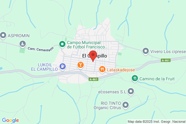 Flor Campillo p. De La