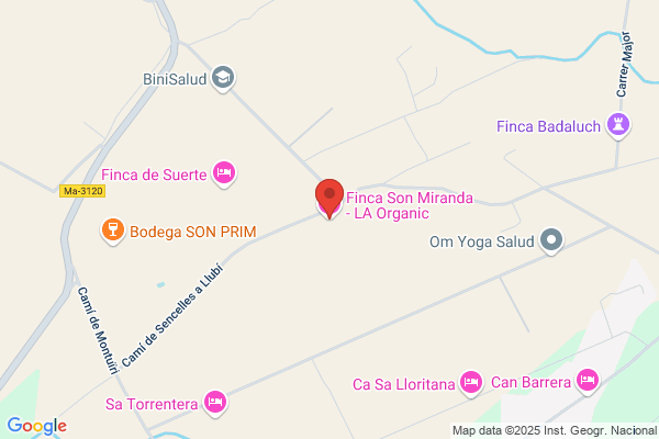 Hotel Rural Son Xotano