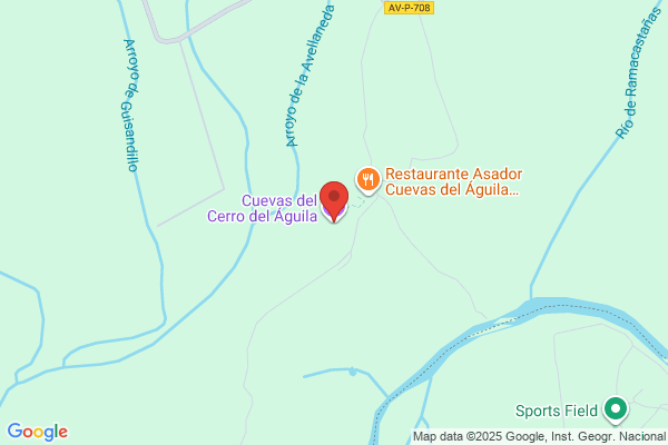 Aguila Avila a.
