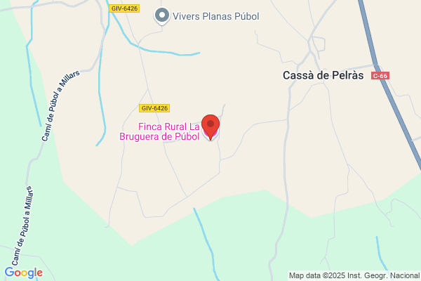Bruguera pedro