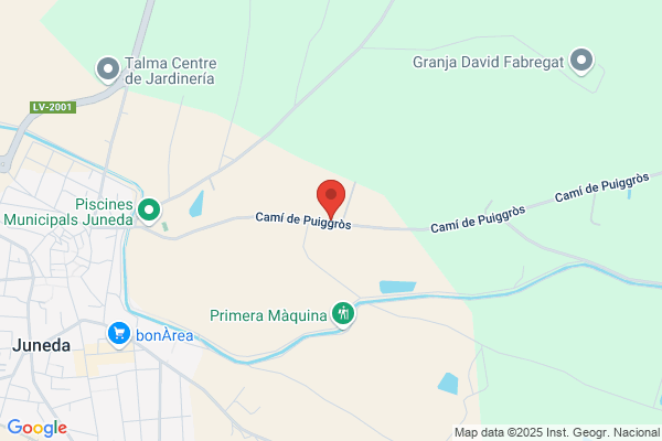 Brufau Solsona l.