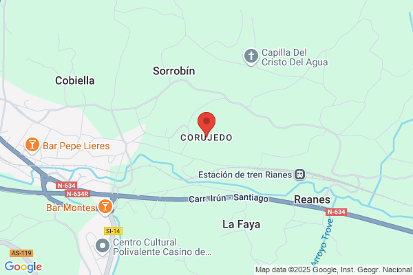 Salgueiro Corujo m.