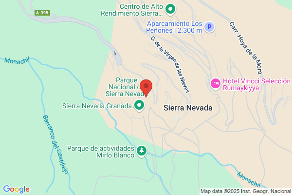 Las Gondolas Rental and School