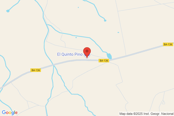Estacion De Sevicio El Quinto Pino S.L.