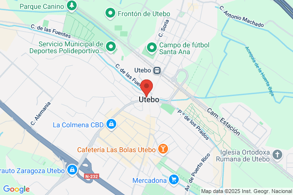 Bensiflor - Floristería Utebo Zaragoza