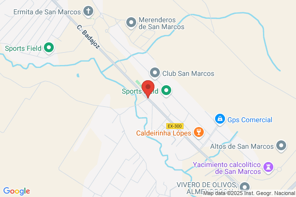 Alcoholes Iglesias S. A.