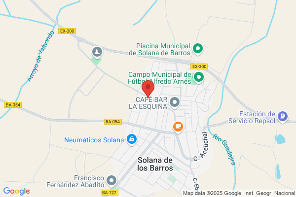 Sanchez Manzanares f.