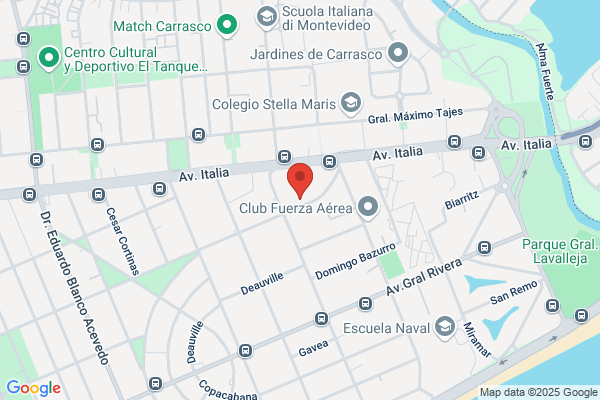 Ariceta Y Asociados