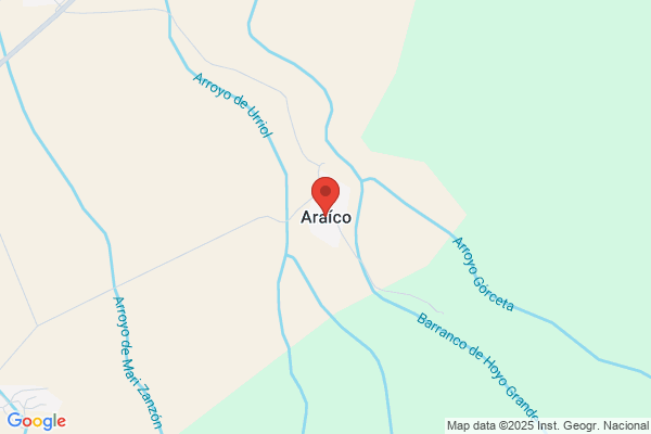 Araico Campo j. L.