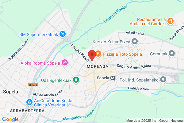 Arozeta Bilbao j. L.