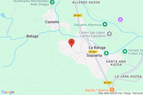 Gorabide Asociacion Vizcaina En Favor De Las personas con Deficiencia