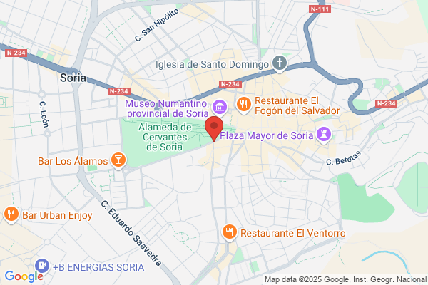 Insalud - Instituto Nacional De La Salud (Gerencia De atencion primaria centro D
