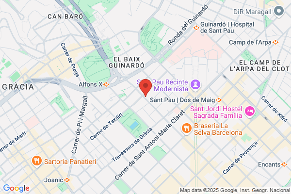 Servei Informatic Professional