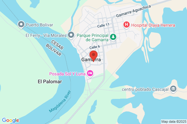 Gamarra Cañamero s.