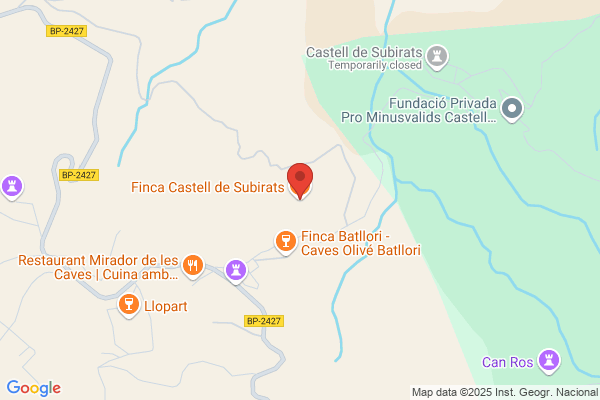 Finca Castell De Subirats S. A.