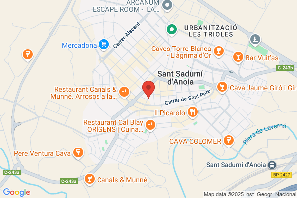 LA TERRASSA DEL MASET