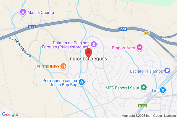 Suades Puig r.