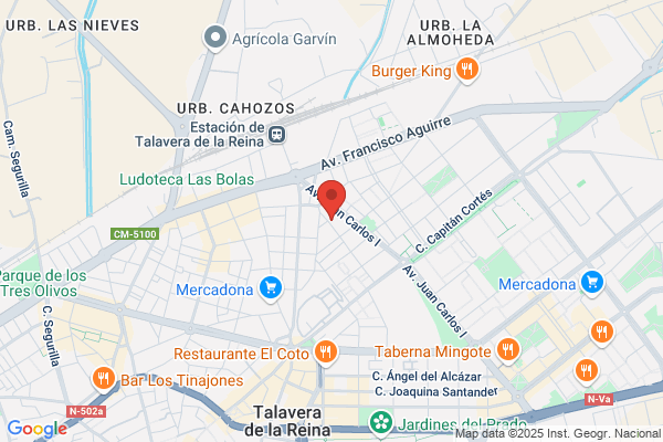 Multiservicios Toledo