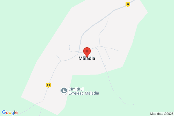 Maladi S.L.