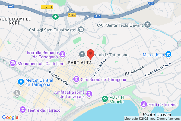 Fisioterapeuta, Osteópata DO y Acupuntor Carlos Del Egido