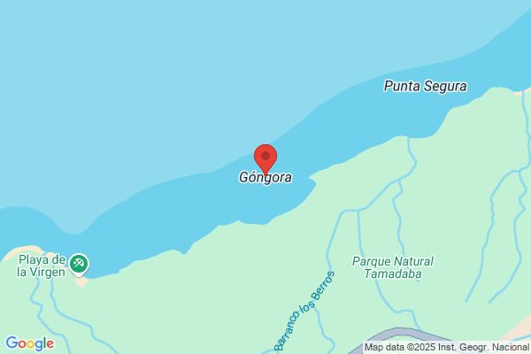 Vidaña Gongora m.