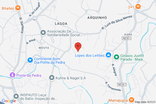 Ferreira Da Silva j.
