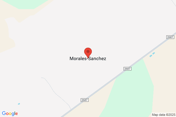 Morales Sanchez t.