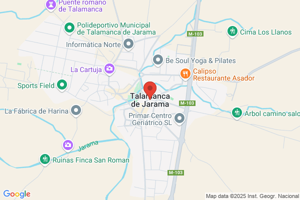 Angélica Sáenz de Ormijana Bird