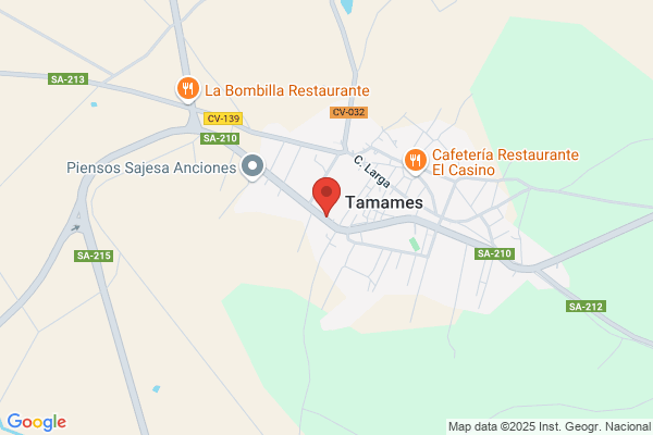 Artesania Infantil Salmantina S. L.