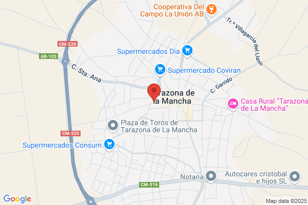 Picazo Sanchez p.