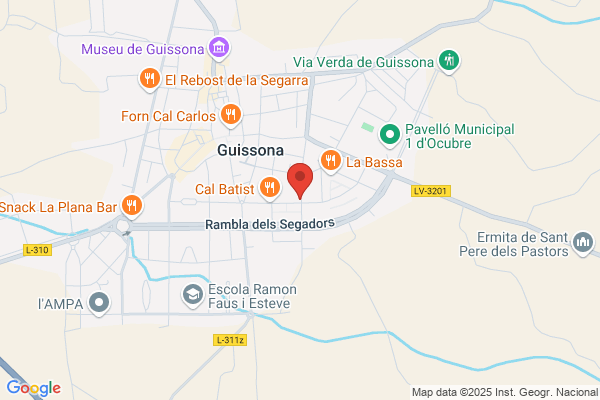 Optica Guissona S.L.