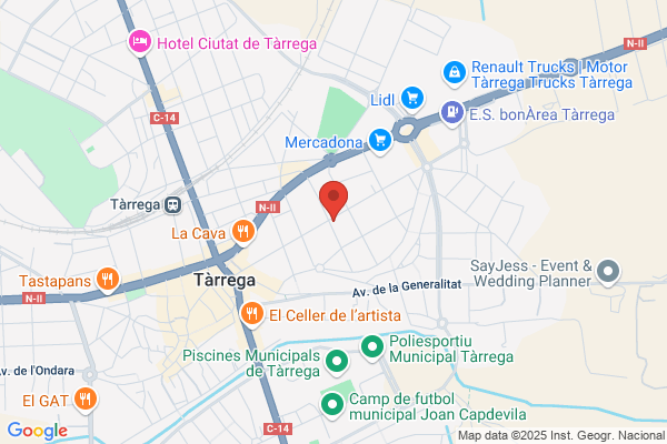 Pizzeria Restaurante New Parrilla - Pizzas Y comidas a la Parilla