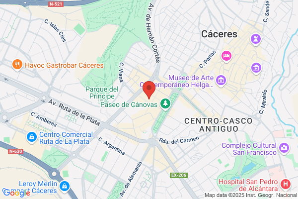 Caceres Pulido c. E.
