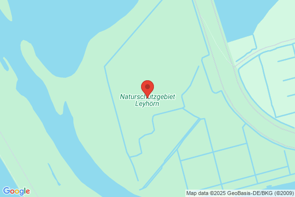 Llonch Berges, Jordi