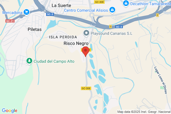 ARREGLOS FLORALES SANTIAGO S.L.