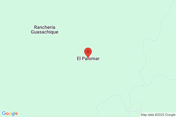 Palomar Calvo i.