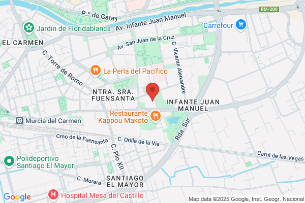 Libreria Infante