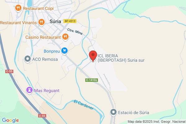 Iberpins S. A.