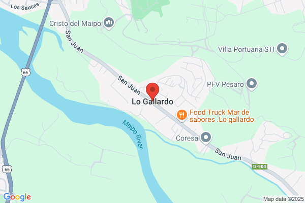 Gallardo Solano a.