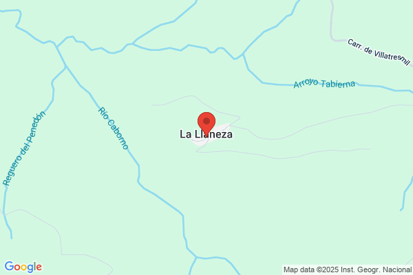 Llaneza Iglesias s.
