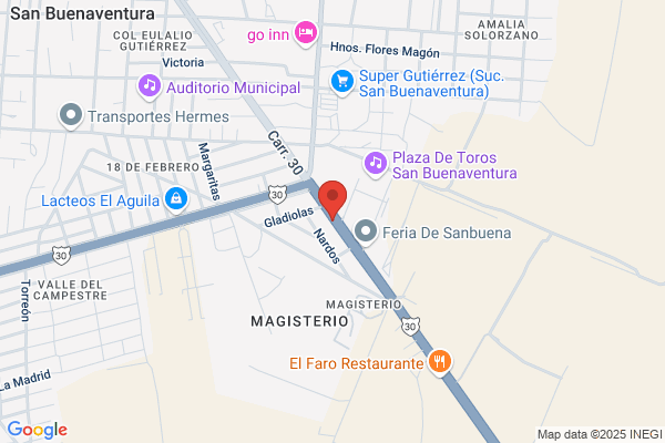 Buenaventura Del Alamo S.L.