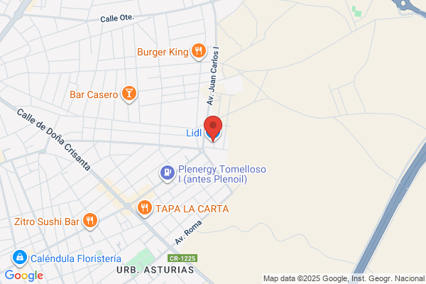 Lidl Autoservicios Descuento S.A.